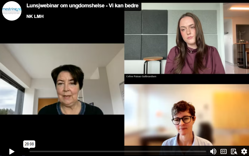 Sjermbilde av webinaret ungdomshelse