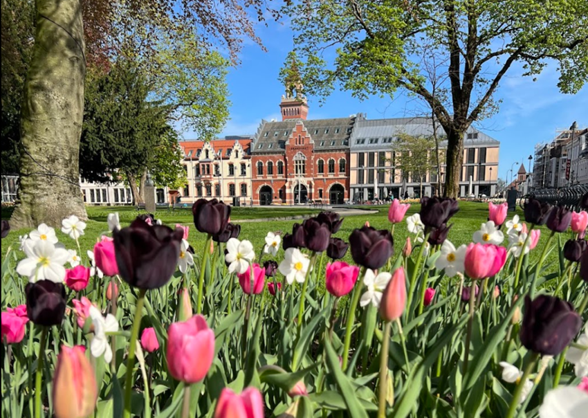 Rådhuskvartalet ligger ved den vakre Wergelandsparken