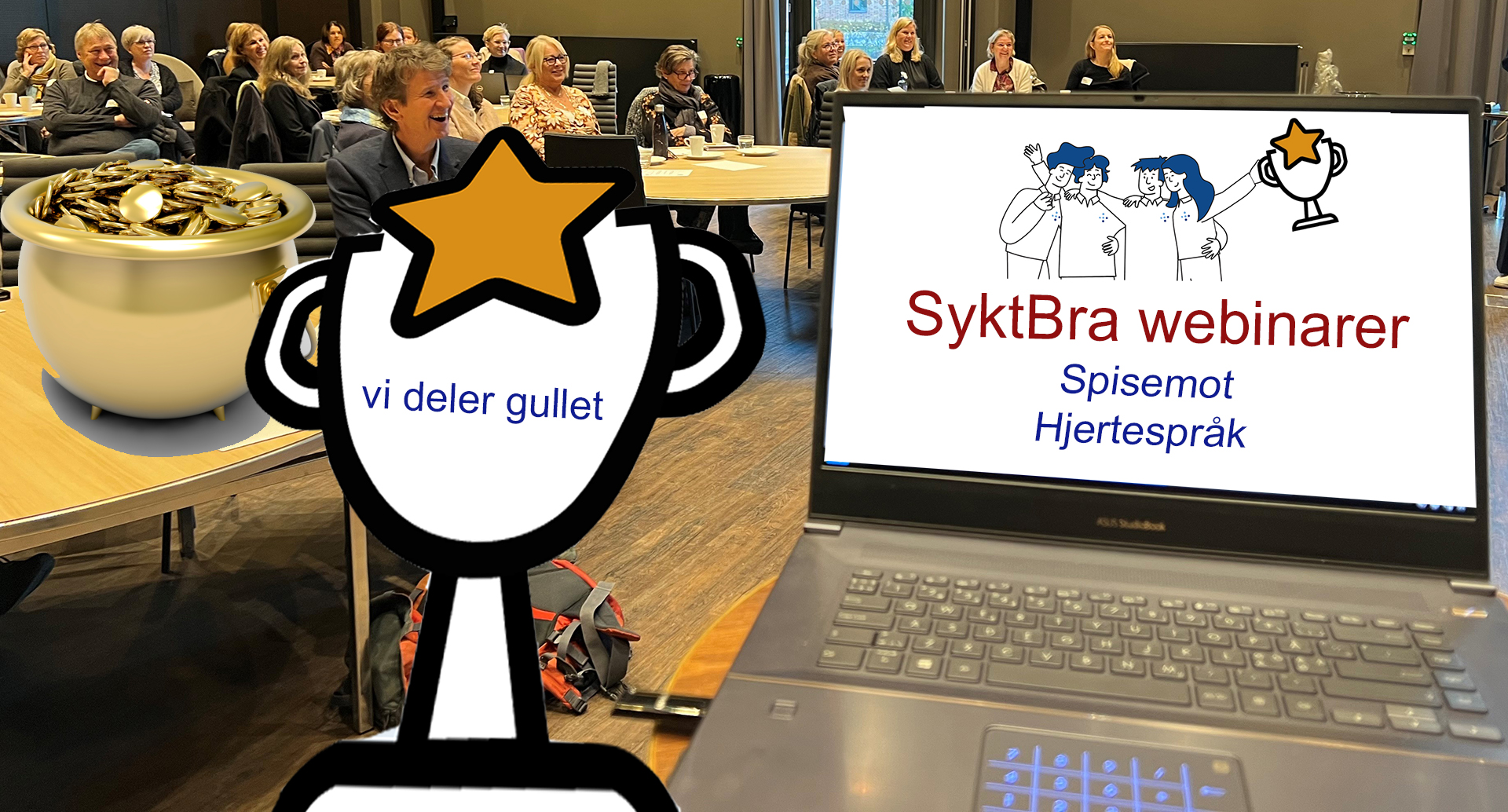 SyktBra Webinarer