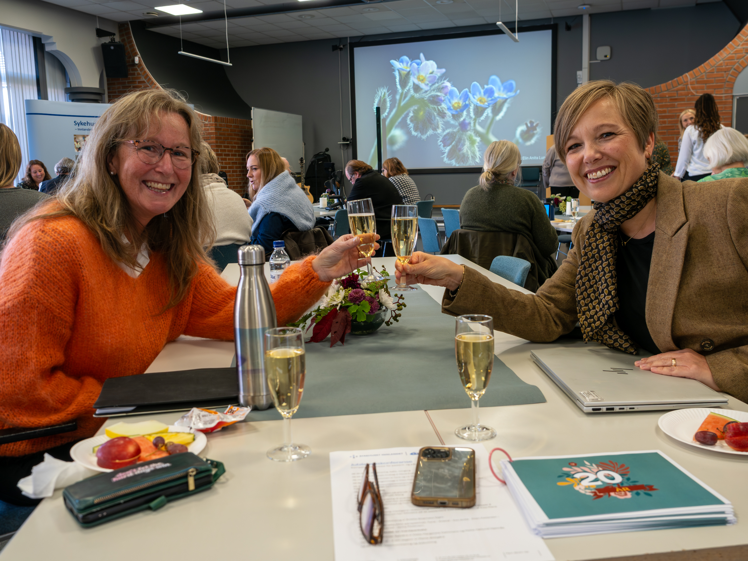 20 år med pasient- og pårørendeopplæring